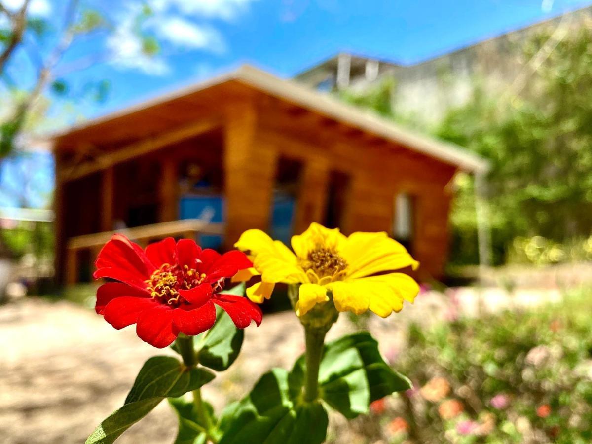 Hoja Azul Villa Hojancha Exterior photo