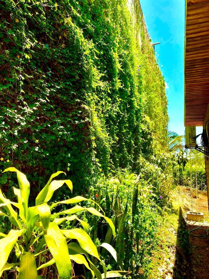 Hoja Azul Villa Hojancha Exterior photo